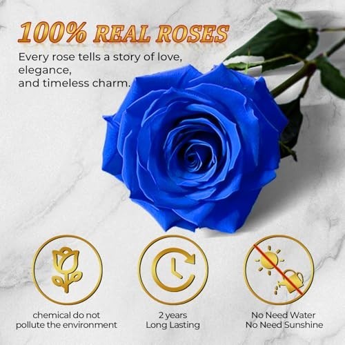 Heart-Shaped Blue Roses in Box – 16 Preserved Real Flowers for Eternal Gifts