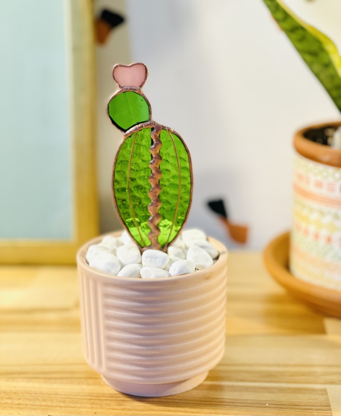 Glass Baby Moon Cactus