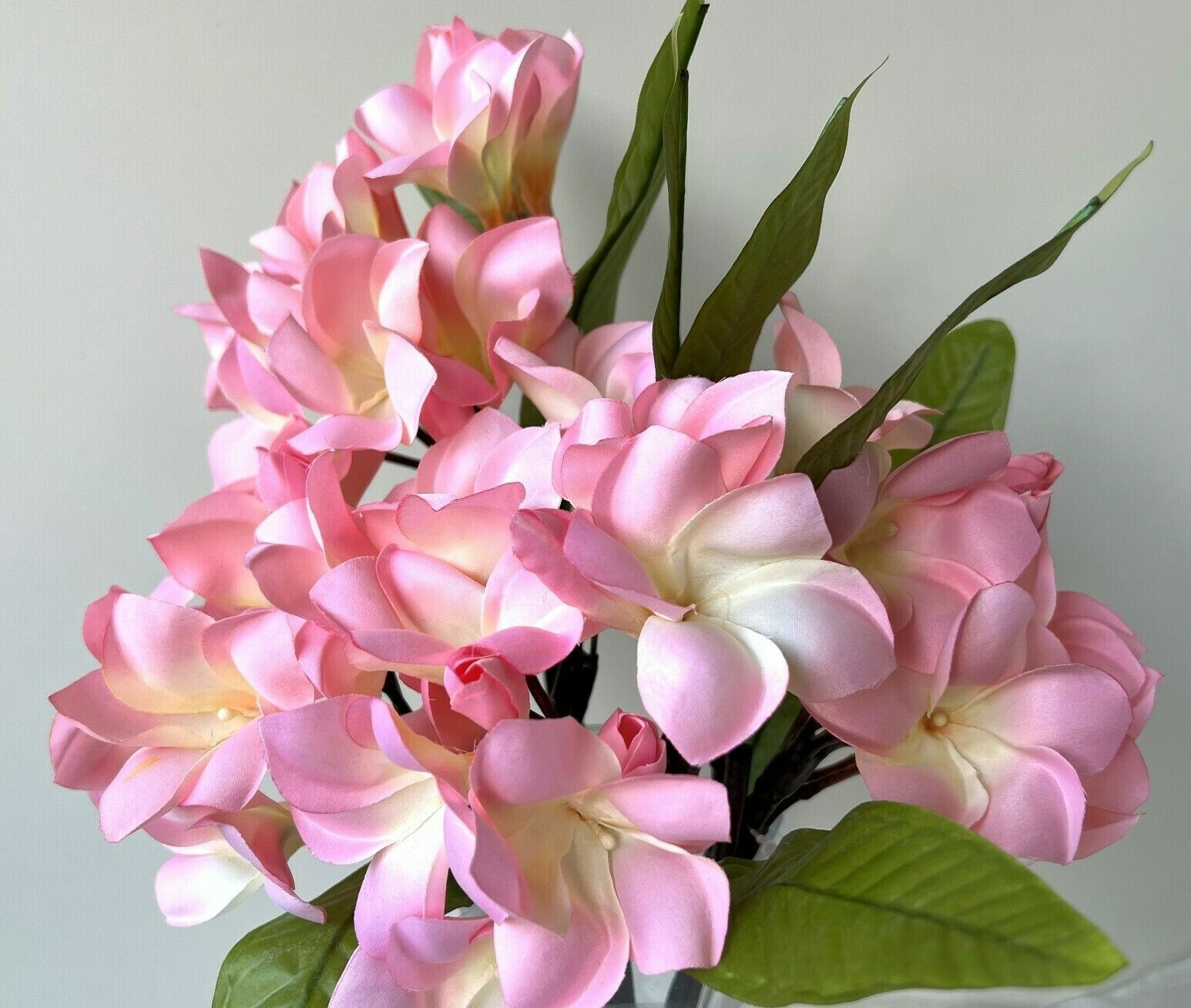 Artificial Frangipani Stem Pink Tropical Frangipanies DIY Arrangement flowers