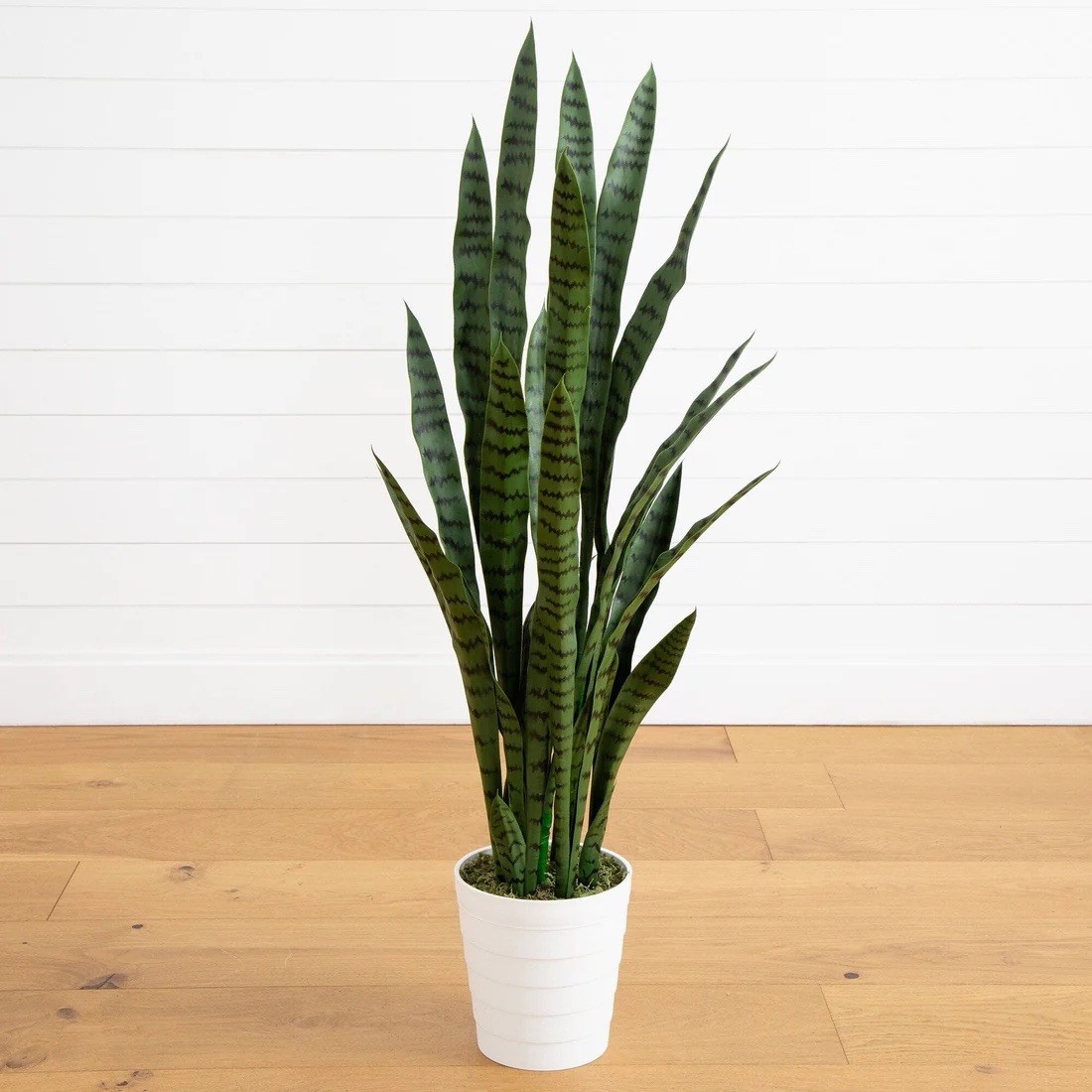 4’ UV Resistant Artificial Sansevieria Plant in White Planter (Indoor/Outdoor)