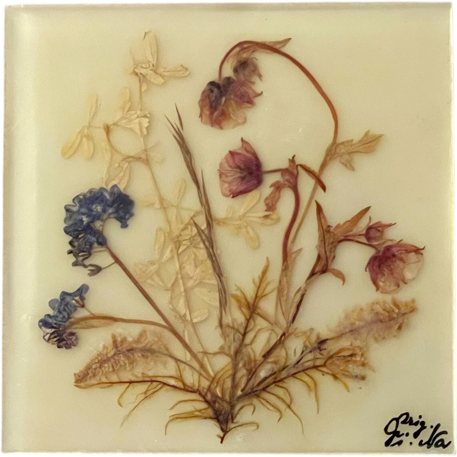 Dina Acrylglass Handmade Natural Dried Flower Germany Bavarian Alps Wall Hanging
