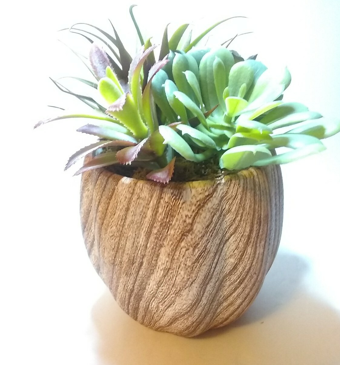 New Ceramic Planter w/ Faux Succulent Plant Decor, Brown & Cream 8 “