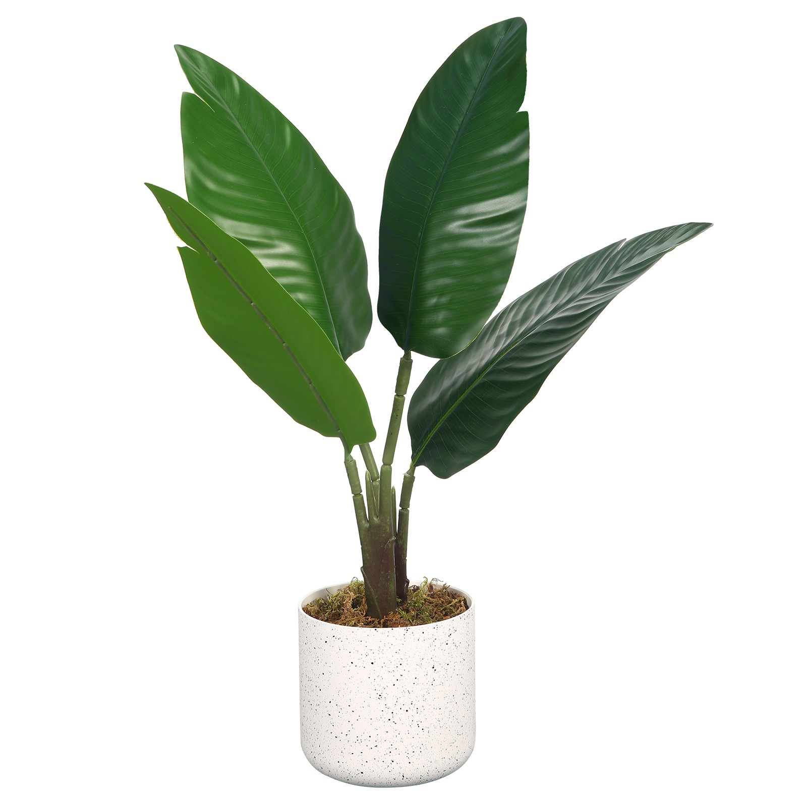 19.7″ Artificial Mini Traveler’s Palm Plant in Pot 1 Pot w/2 Lifelike Faux Decor