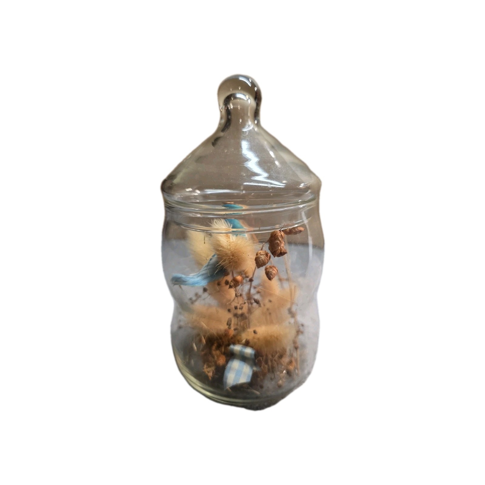 VTG Apothecary Jar Dried Floral Terrarium with Blue Bird