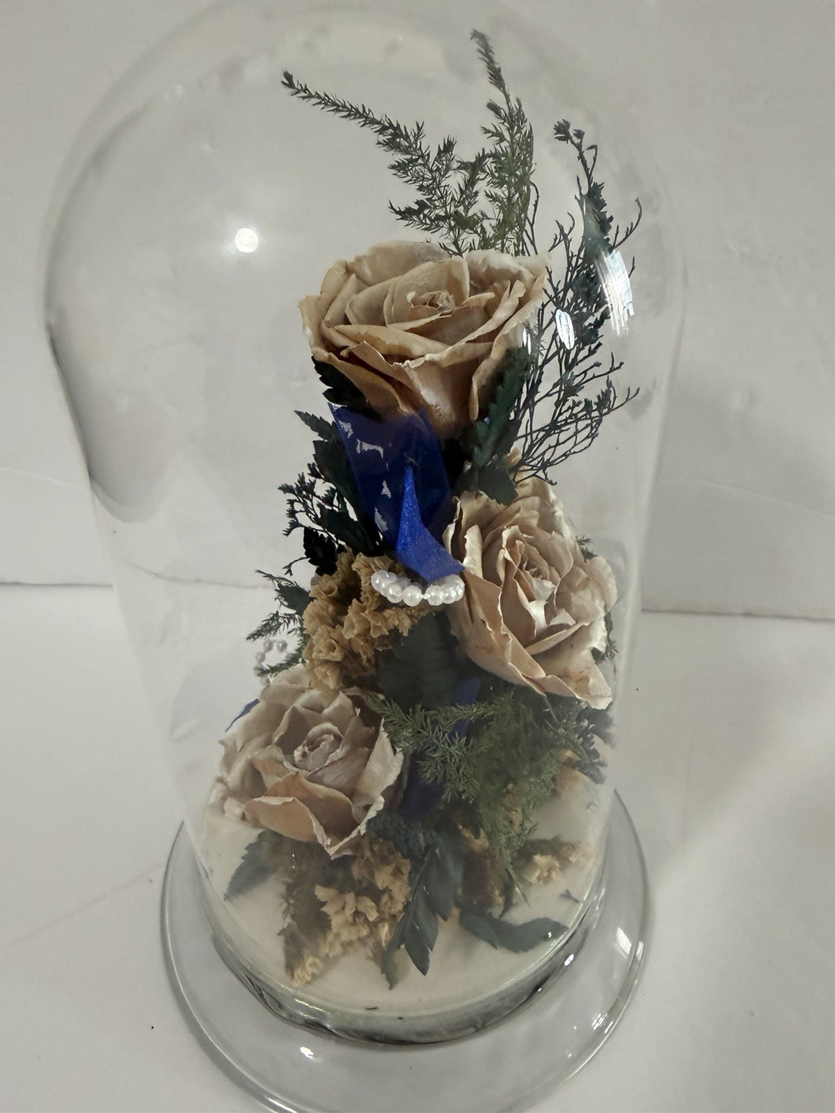 Natural Expressions Real Freeze Dried Rose Floral Dome Glass Display 8”