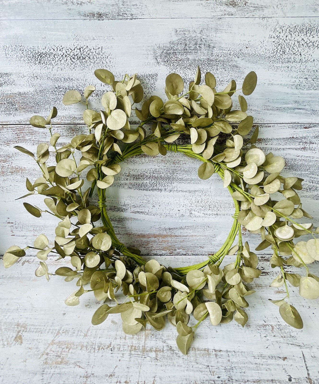 Foamy Silver Dollar Wreath, Sage, 20”