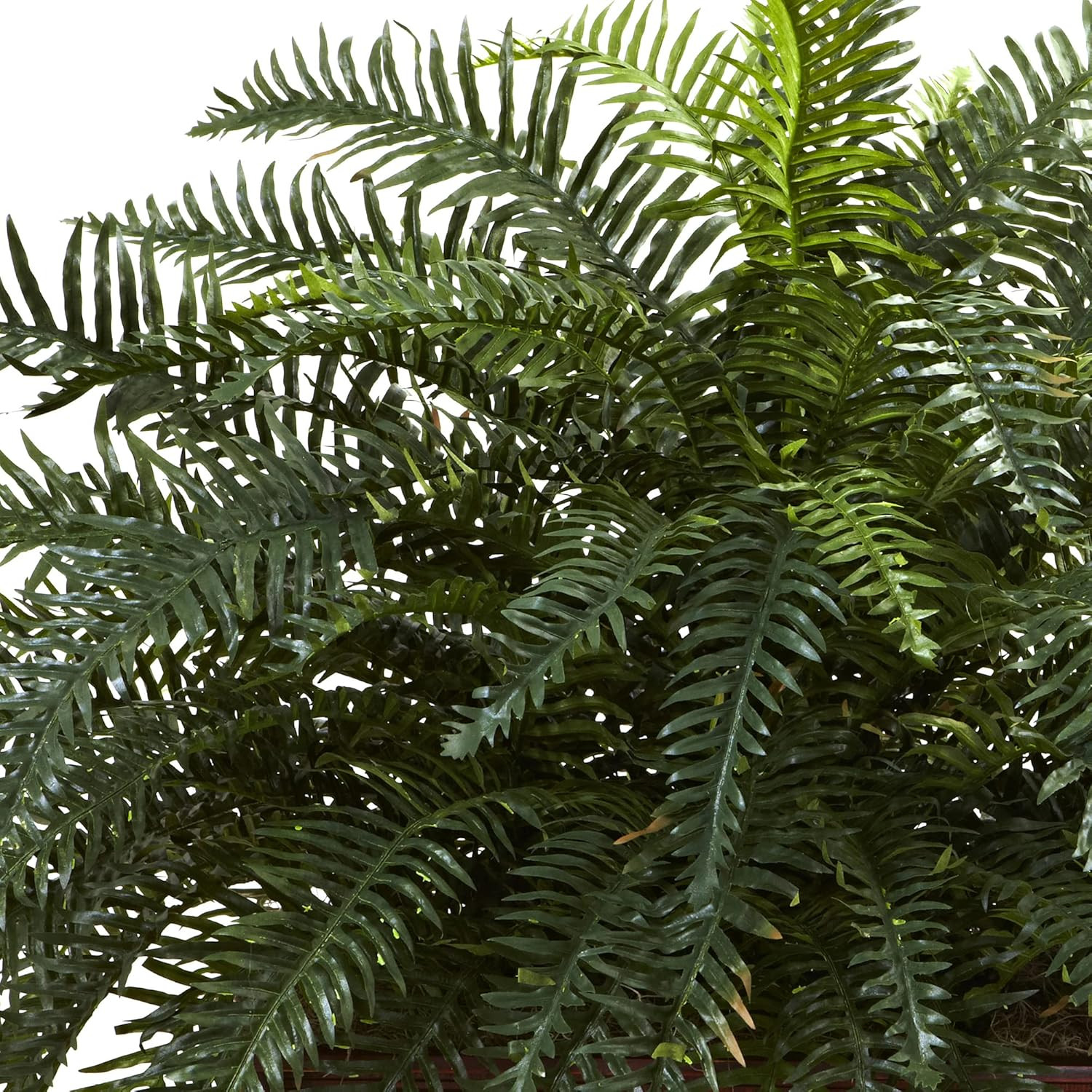 Lifelike River Fern in Rustic Wood Planter – Perfect Home Decor Accent