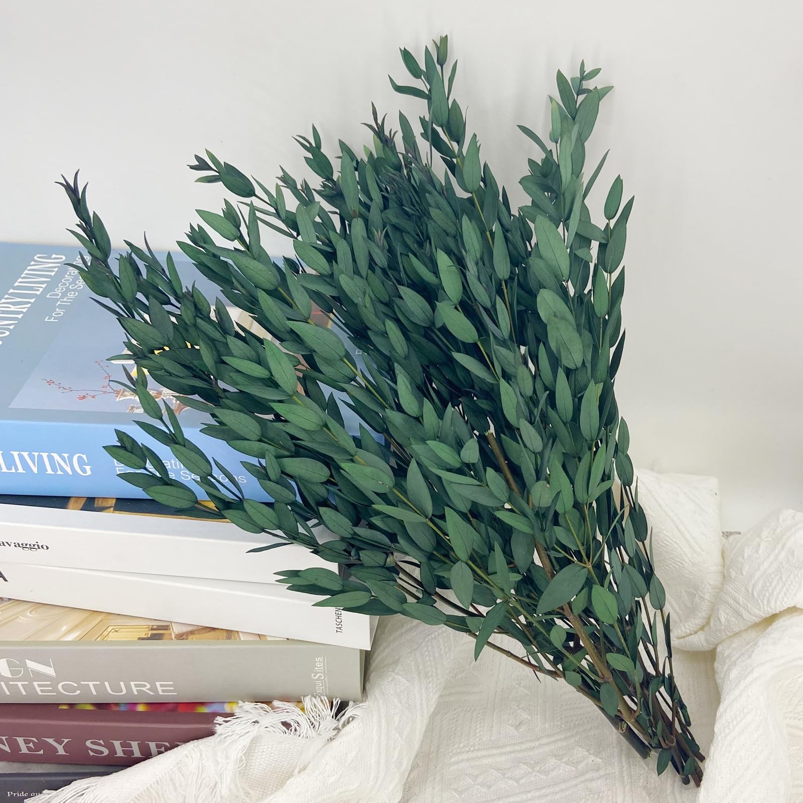 Preserved Dried Eucalyptus Greenery Stems, 20+ Pcs 16 inches Natural Long Las…