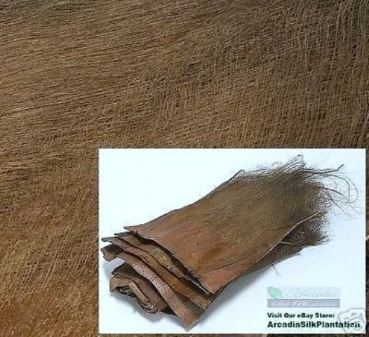 100% Real Palm Trees Bark 6 LBS Artificial Silk Plants