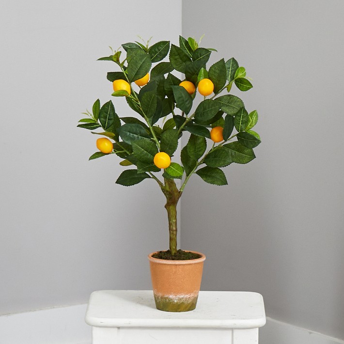 Faux Lemon Tree in Pot, 24″-Williams Sonoma|36339
