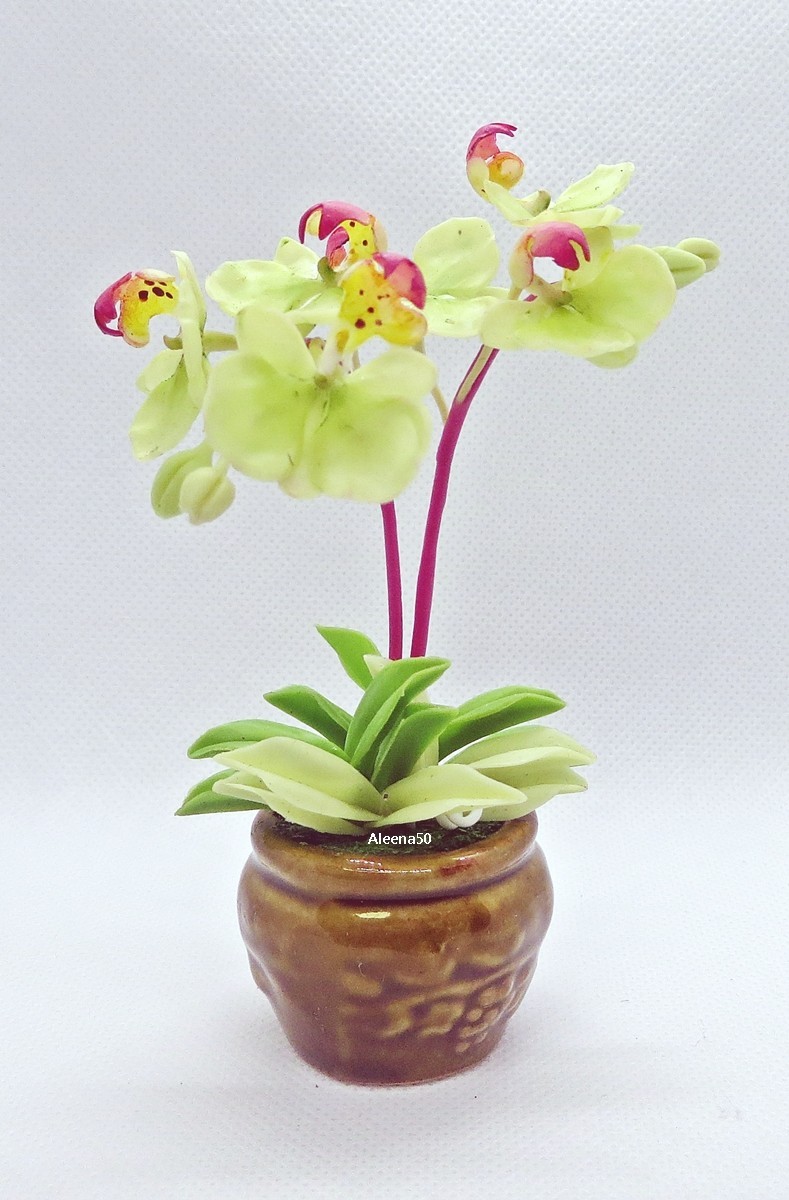 US Stock 4″H Handmade Air-Dry-Clay-Crafted Phalaenopsis Orchid Arranged in Pot