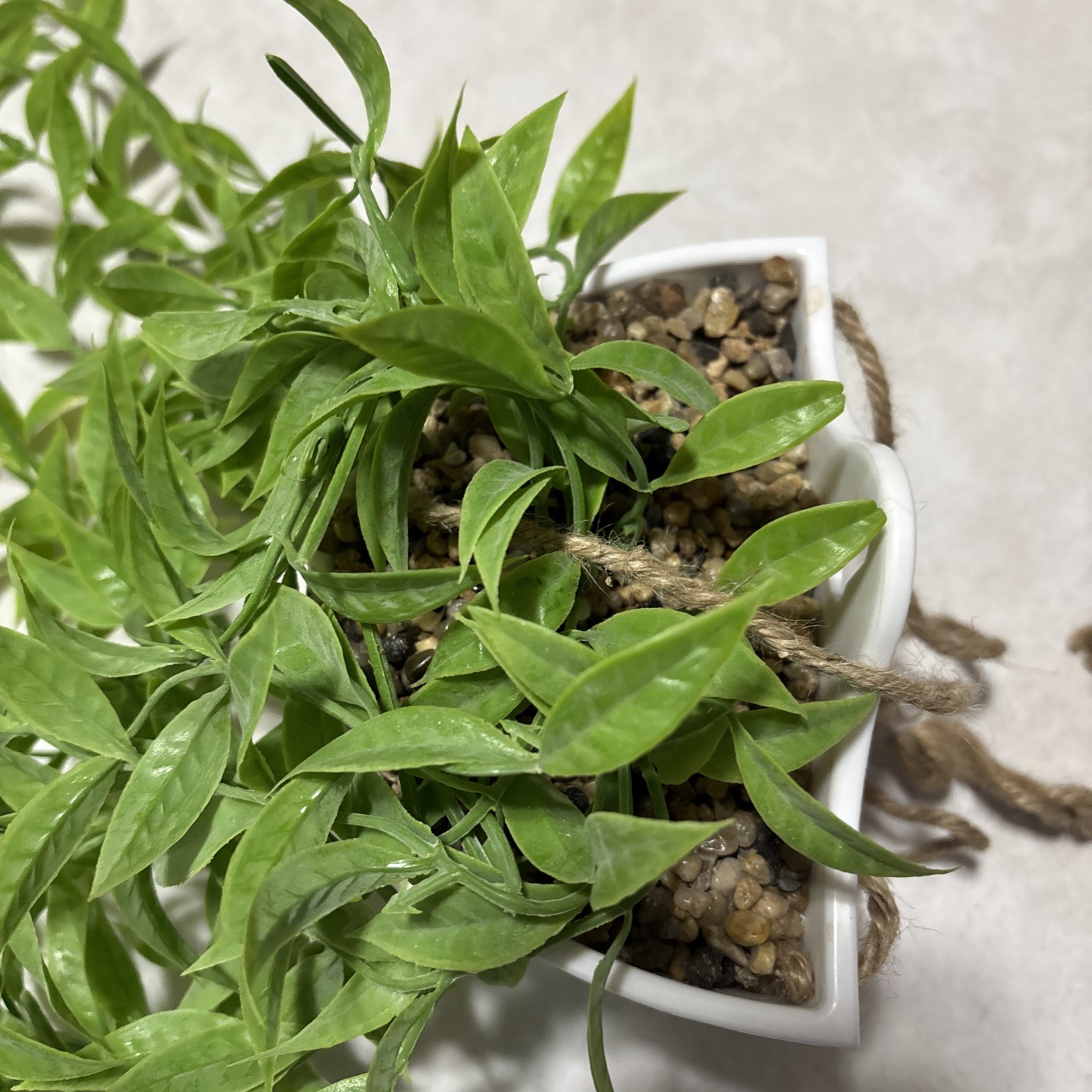 True Living Artificial Vine Hanging Plant, NWT #3