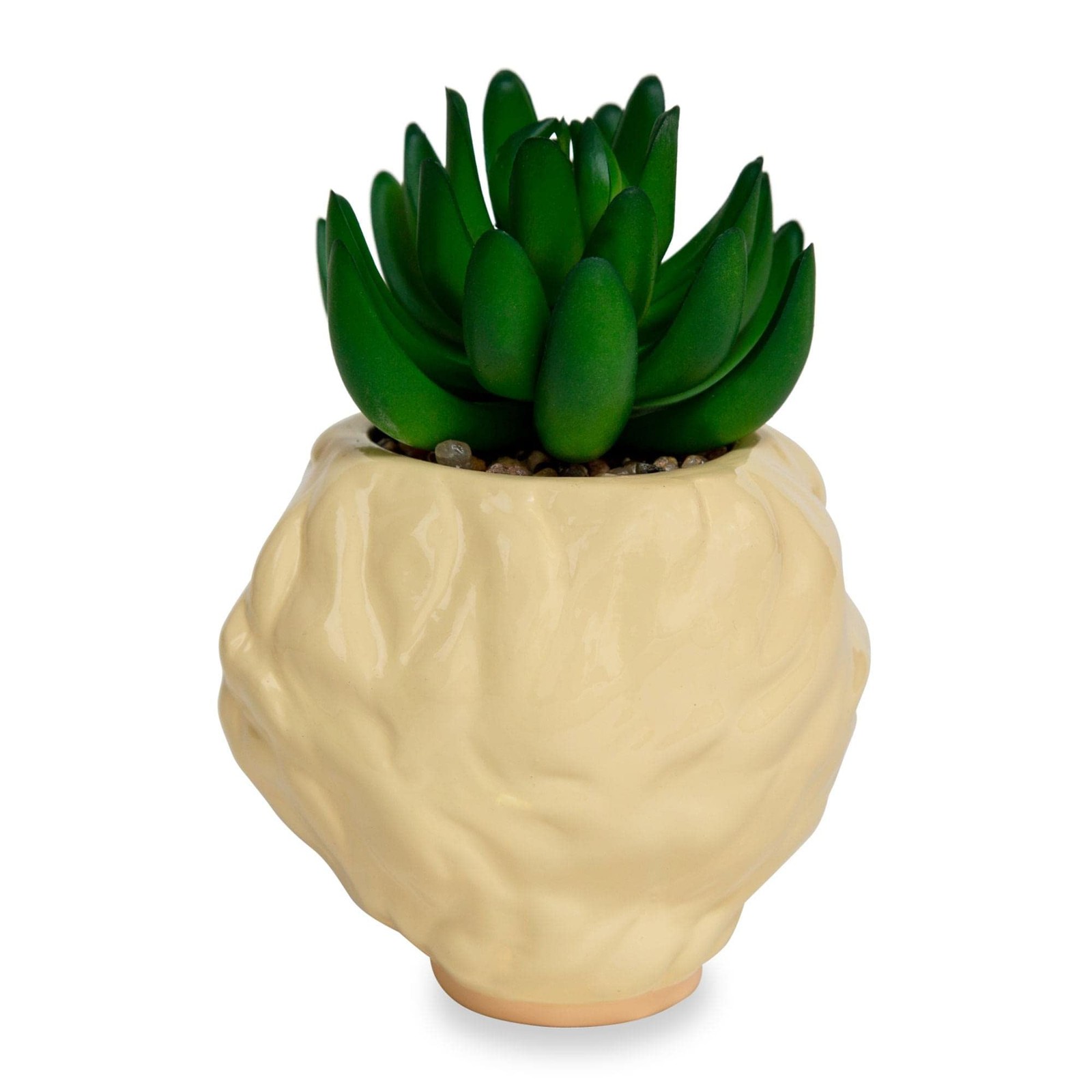 Toynk The Golden Girls Rose 3-inch Ceramic Mini Planter with Artificial Succulen