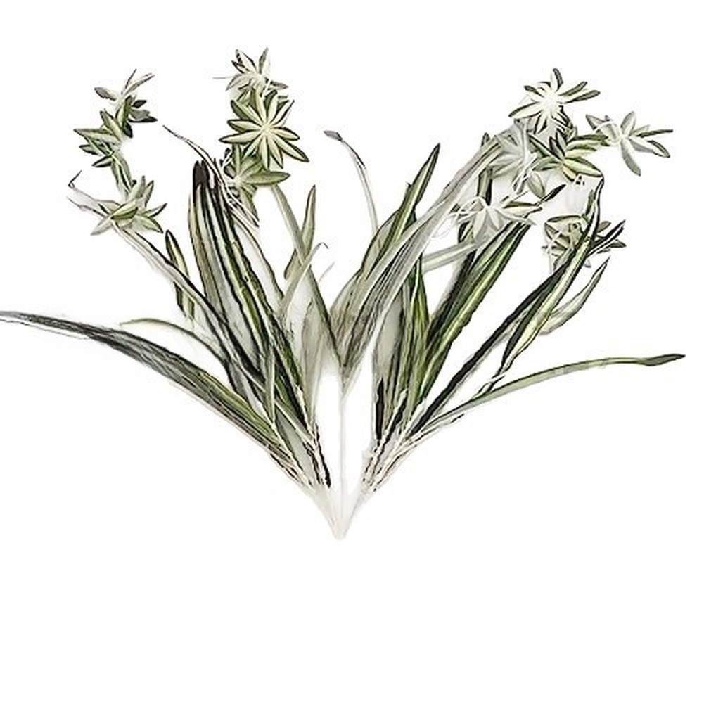 56cm Artificial Foliage Chlorophytum Style Green Plastic Leaves for Decor