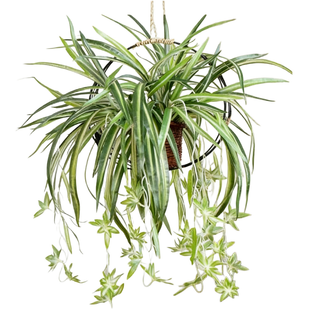 56cm Artificial Foliage Chlorophytum Style Green Plastic Leaves for Decor