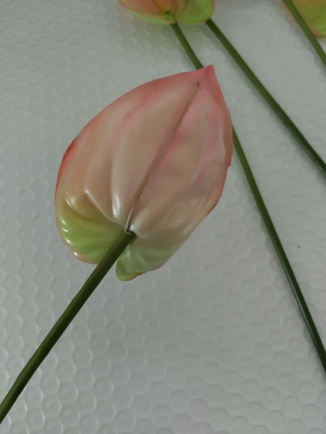 SIX MinI Anthurium stem cream/pink. Tropical stems Hawaiian flowers .