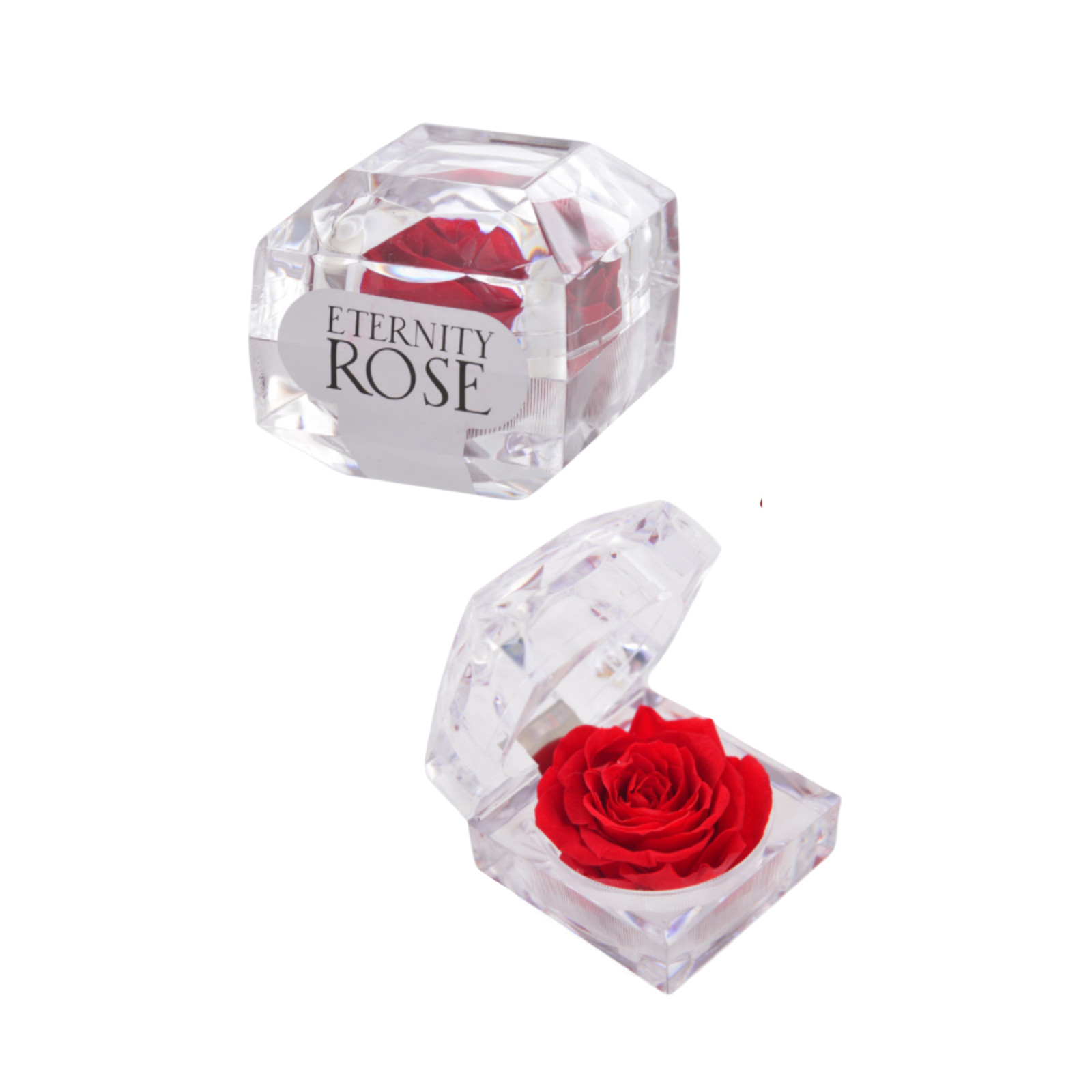 Eternity Rose in Acrylic Clear Capsule – 100% Real Rose/Preserved Rose
