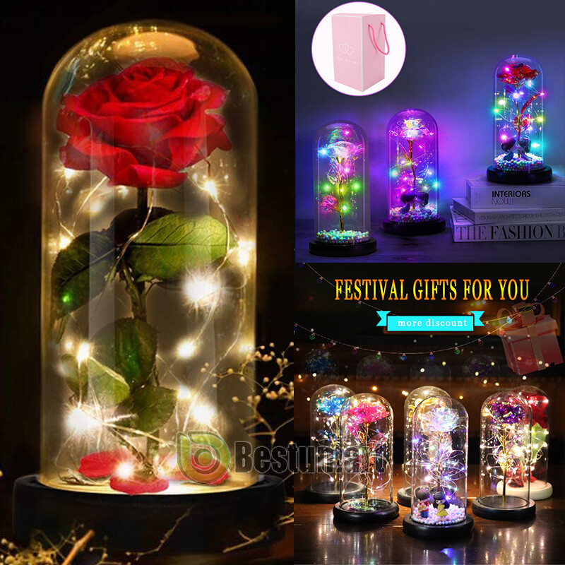 Eternal Forever Romantic Rose Flower In Glass Dome LED Light Mother’s Day Gift