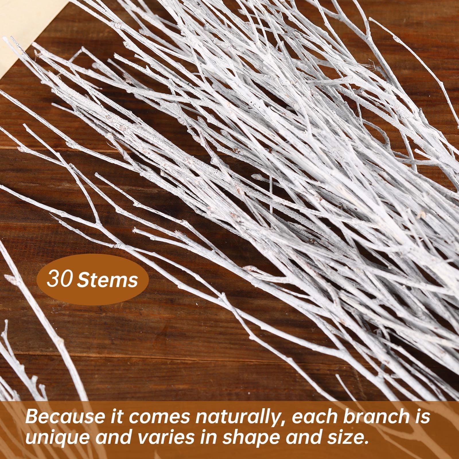 30 PCS Real Dried Birch Twigs 17 Inch White Decorative Branch Vase Decor