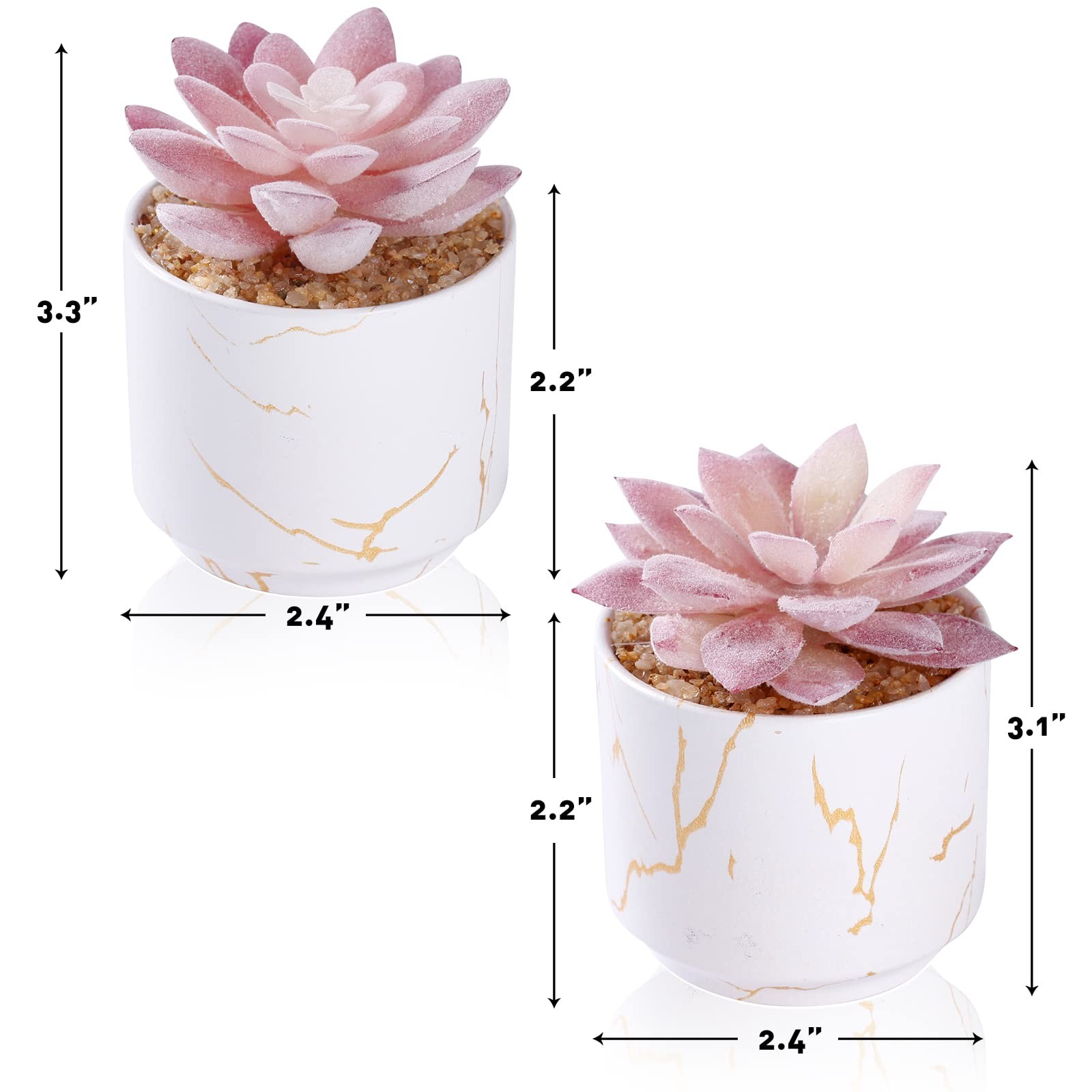 Artificial Plants and Succulents in 2 White Ceramic Pots,Small Fake Plants fo…