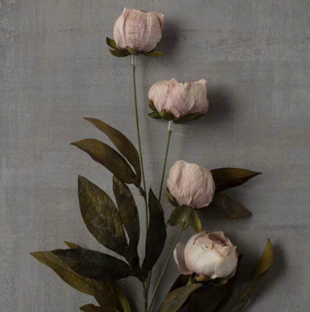 New Ashland Tan Peony Stem Viral 4 Stems Artificial Flowers