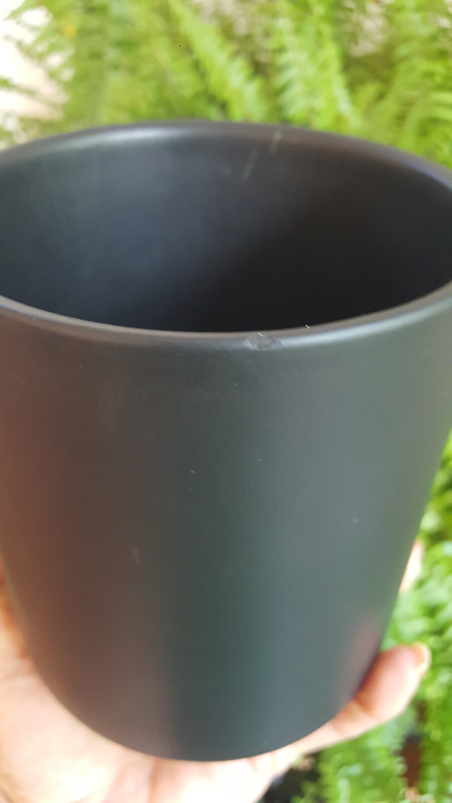 Artificial Fern Stems Matte Black Cylinder Pottery Planter/Stand