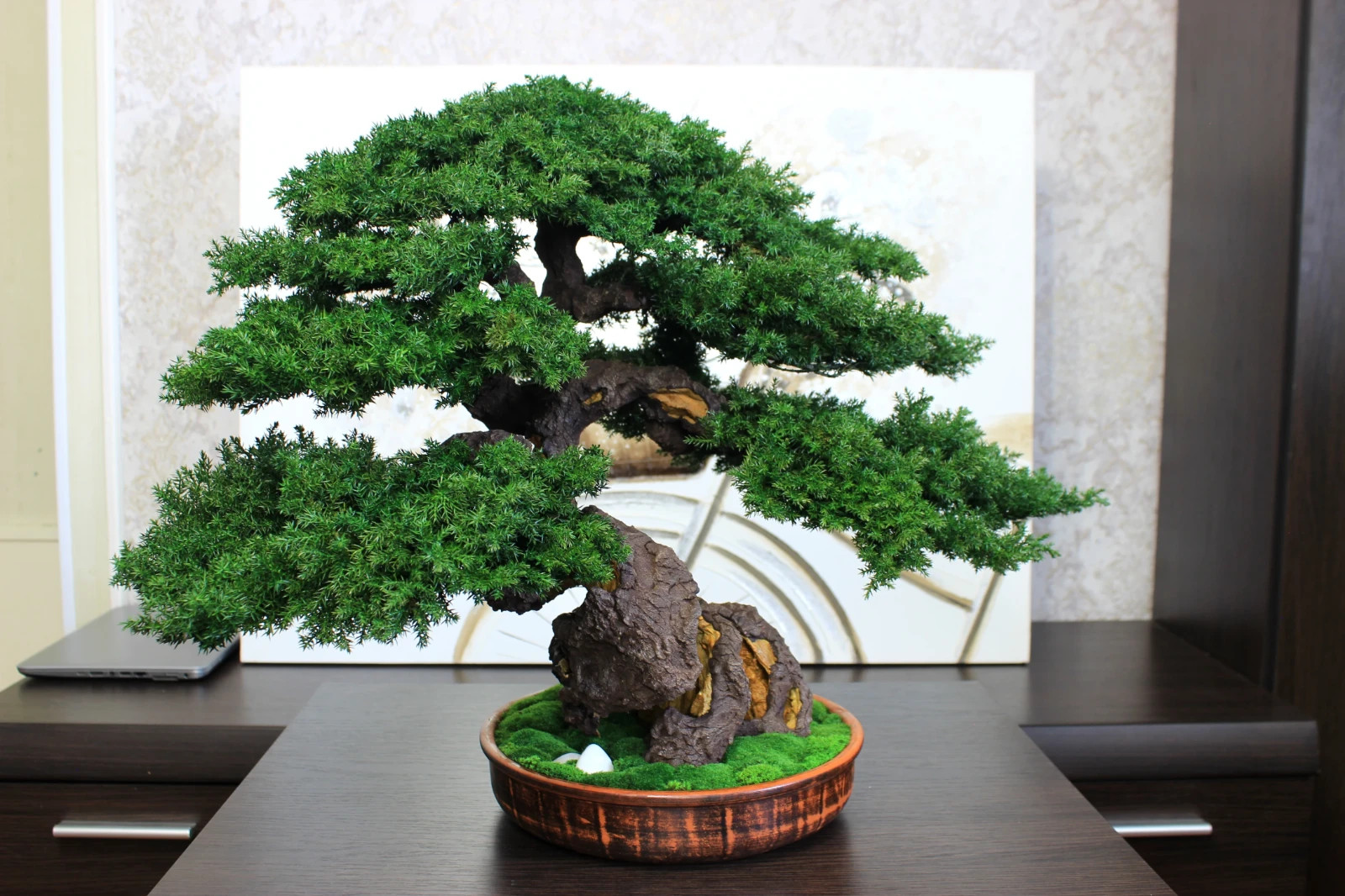 Artistic Preserved Bonsai Tree – Handmade Juniper Decor Sculpture. 49 cm / 19.3″