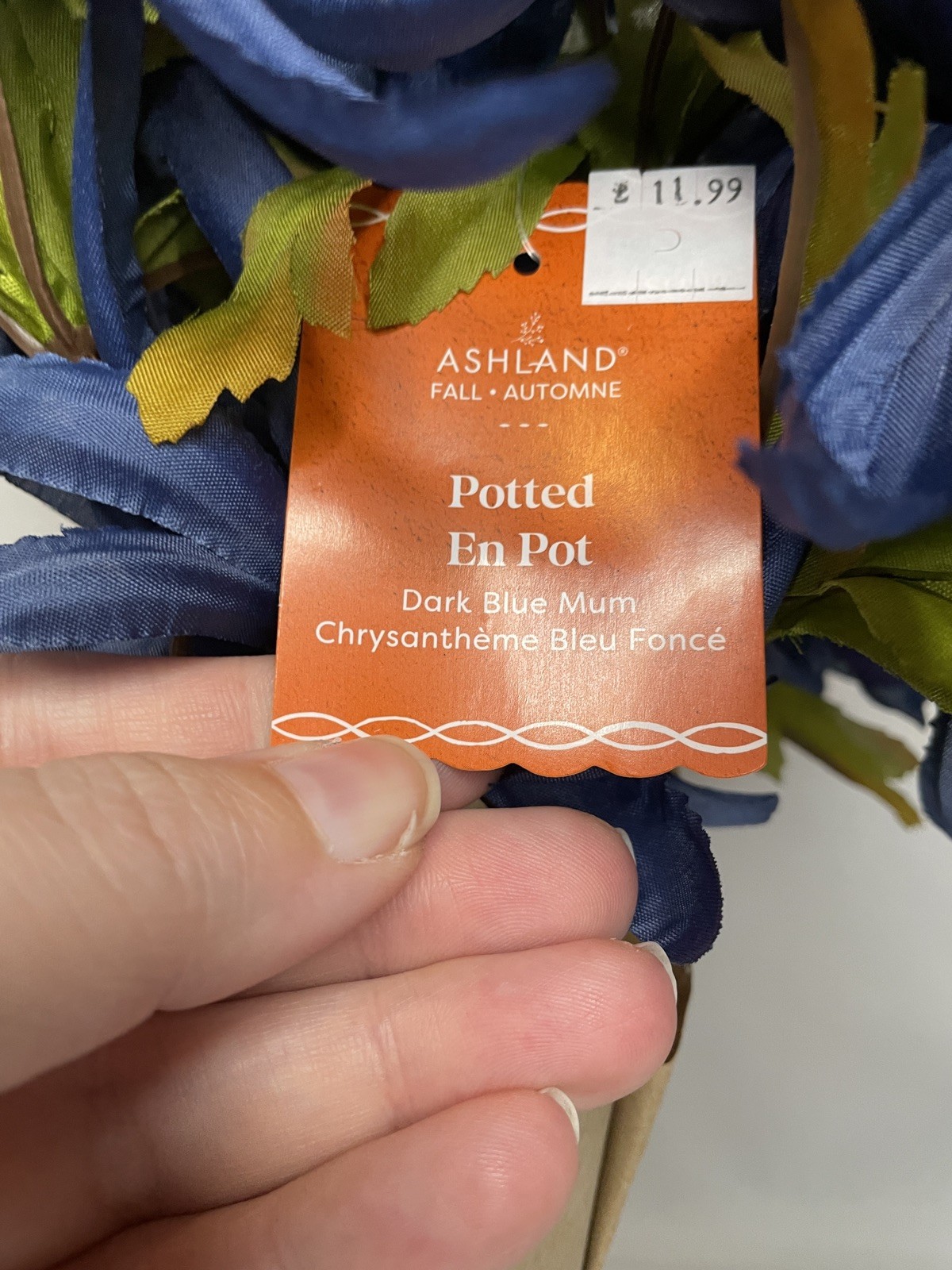 New Ashland Artificial Floral Dark Blue Mum 6-8 Lg Blooms Light Pot 9”x12” HOM17