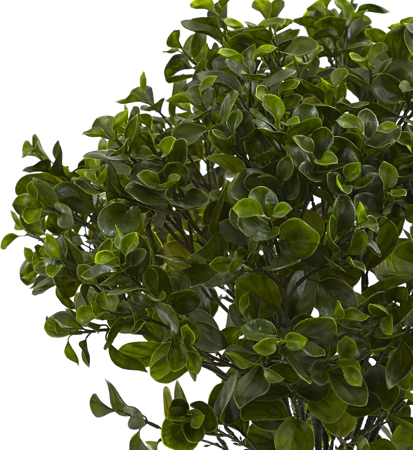 28″ UV Resistant Peperomia Plant for Indoor/Outdoor Decor