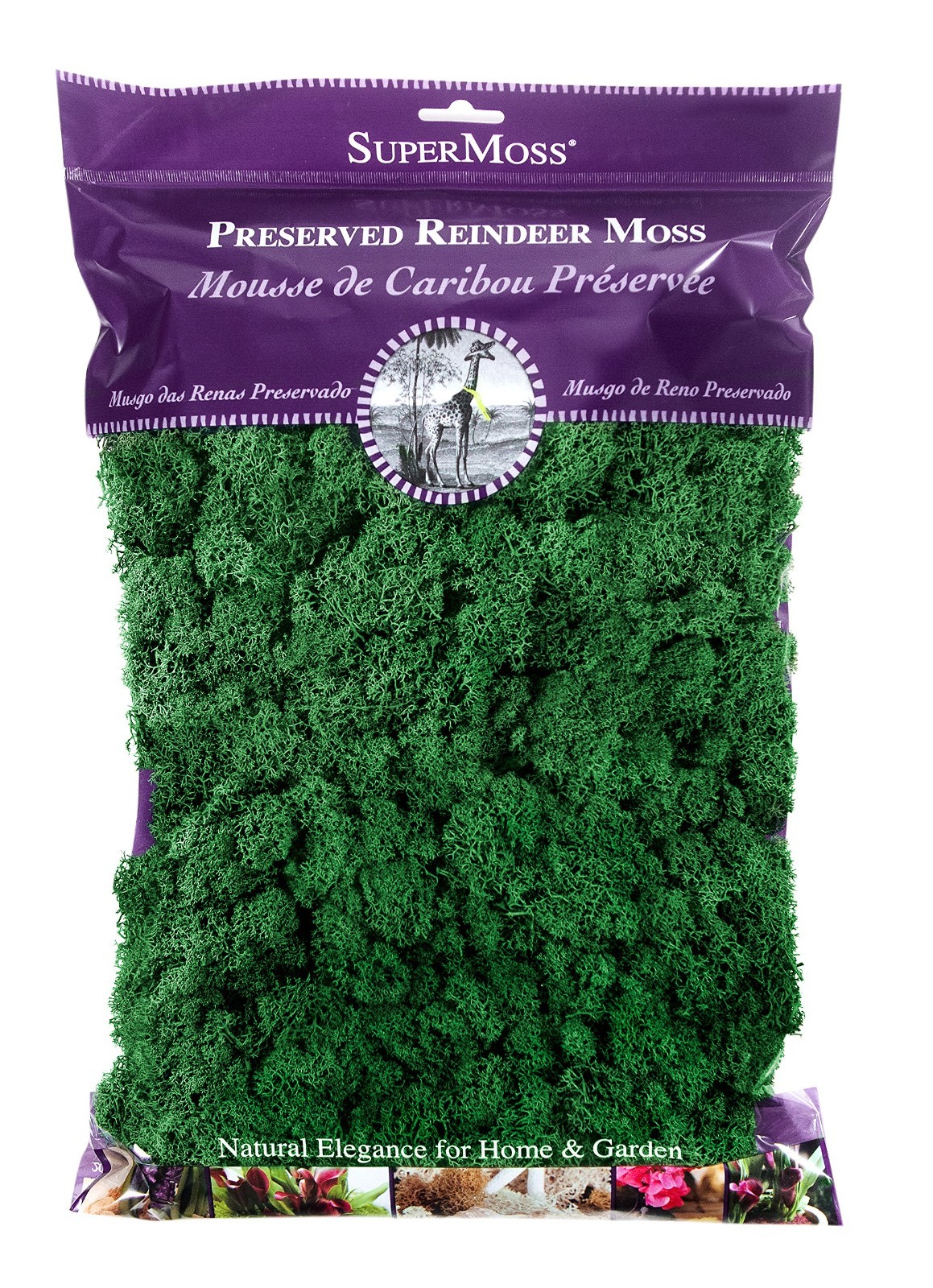 Preserved Reindeer Moss – Forest Green, 8oz (200 Cubic Inches) for Crafts & Deco
