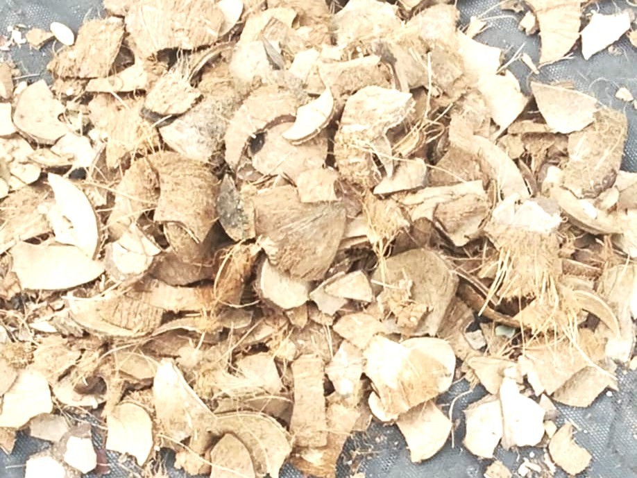 Natural Coconut Shell Chips – Eco Mulch, Craft & Reptile Bedding, Sustainable!