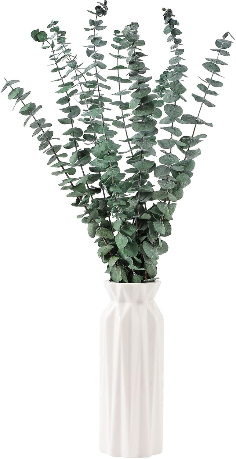 10pcs Dried Eucalyptus Stems 17” Real Natural Shower Wedding Decor