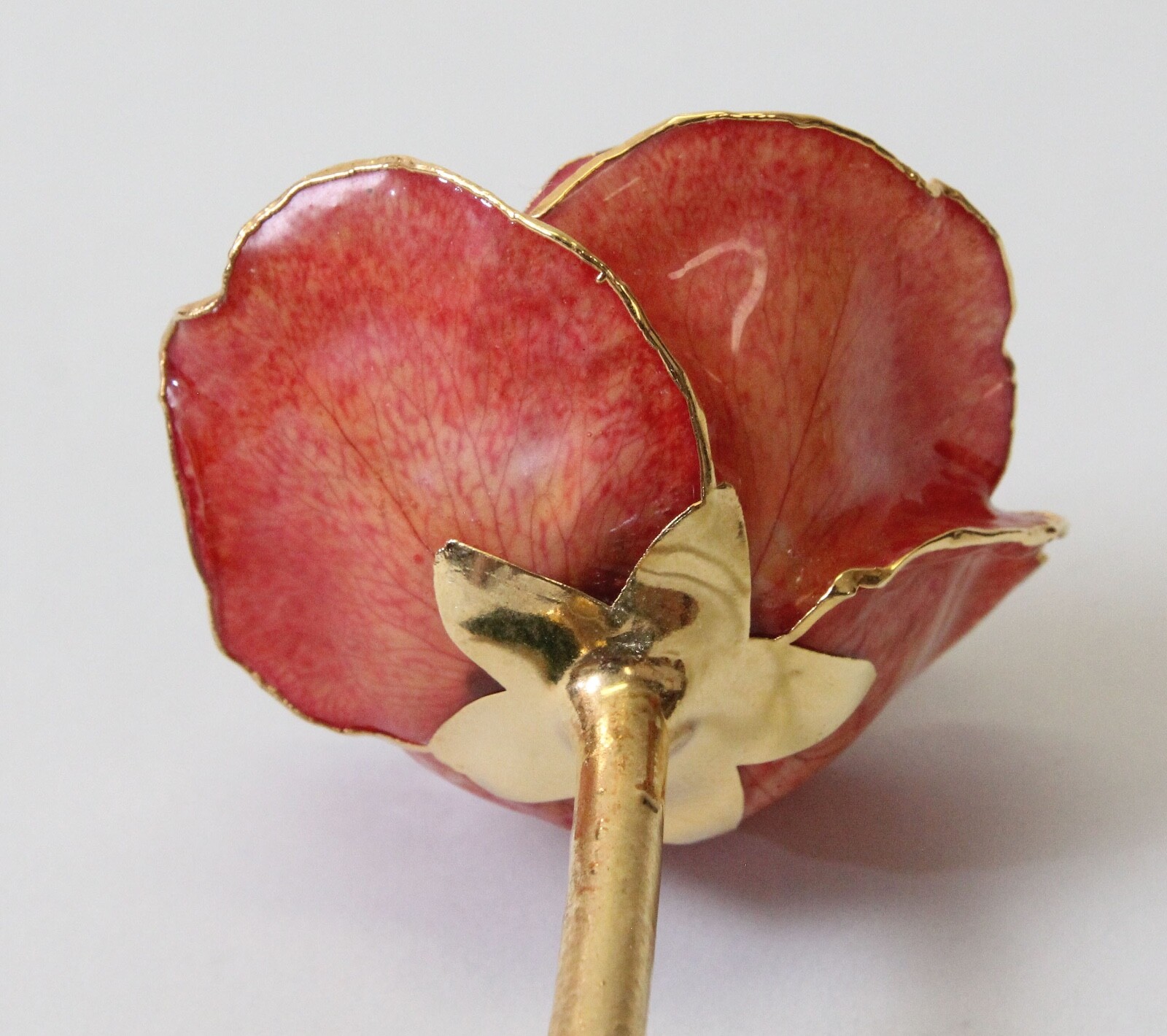 Lacquer Dipped Gold Trim Real Rose Flower 11.5″ Orangish Pink