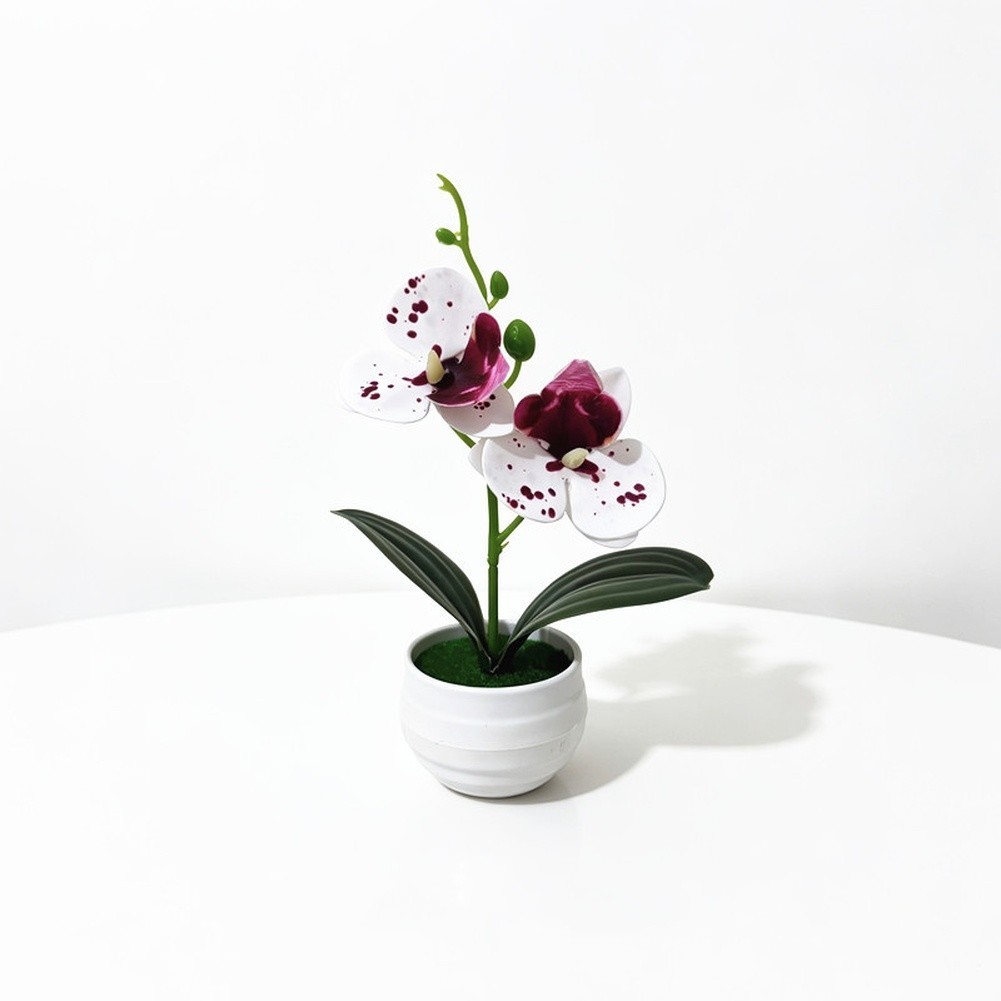 Faux 2-Head Orchid in Striped Pot 6.9 in Tall Realistic Plastic Flower