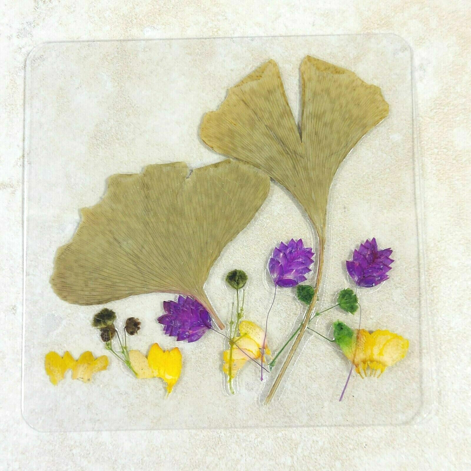 Dried Pressed Flowers Natural Flower Petal Set Resin Art Design Home Décor Gift