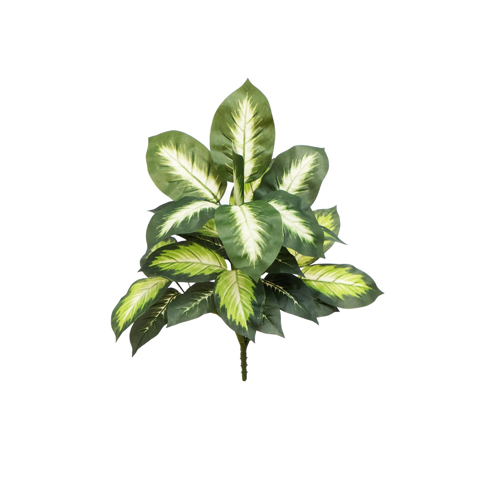 Nearly Natural 20″ Artificial Golden Dieffenbachia Plant – Set of 6 in Green