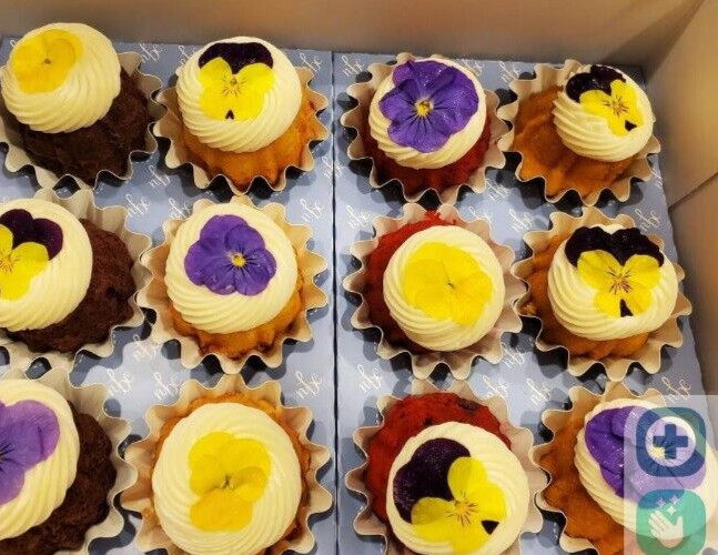 Fresh Edible Garnish Flowers-Bright Pansies Overnight Free Shipping WEDNESDAYS