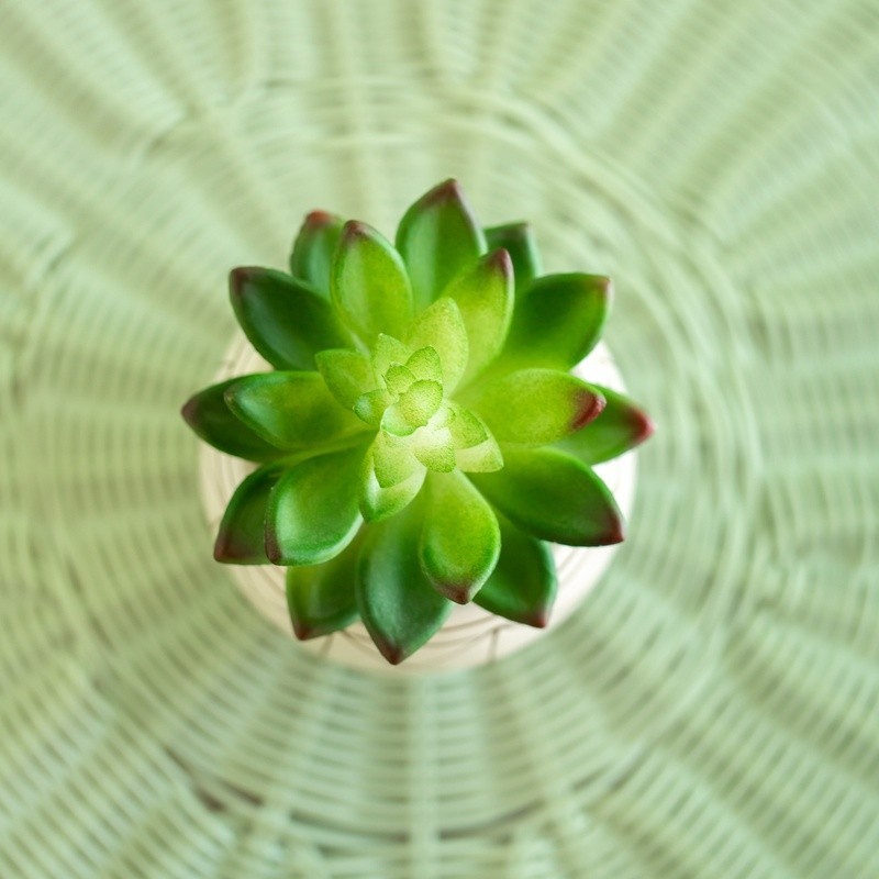 4 Inch Tabletop Artificial Succulent in Geometric Ceramic Pot Indoor Decor New