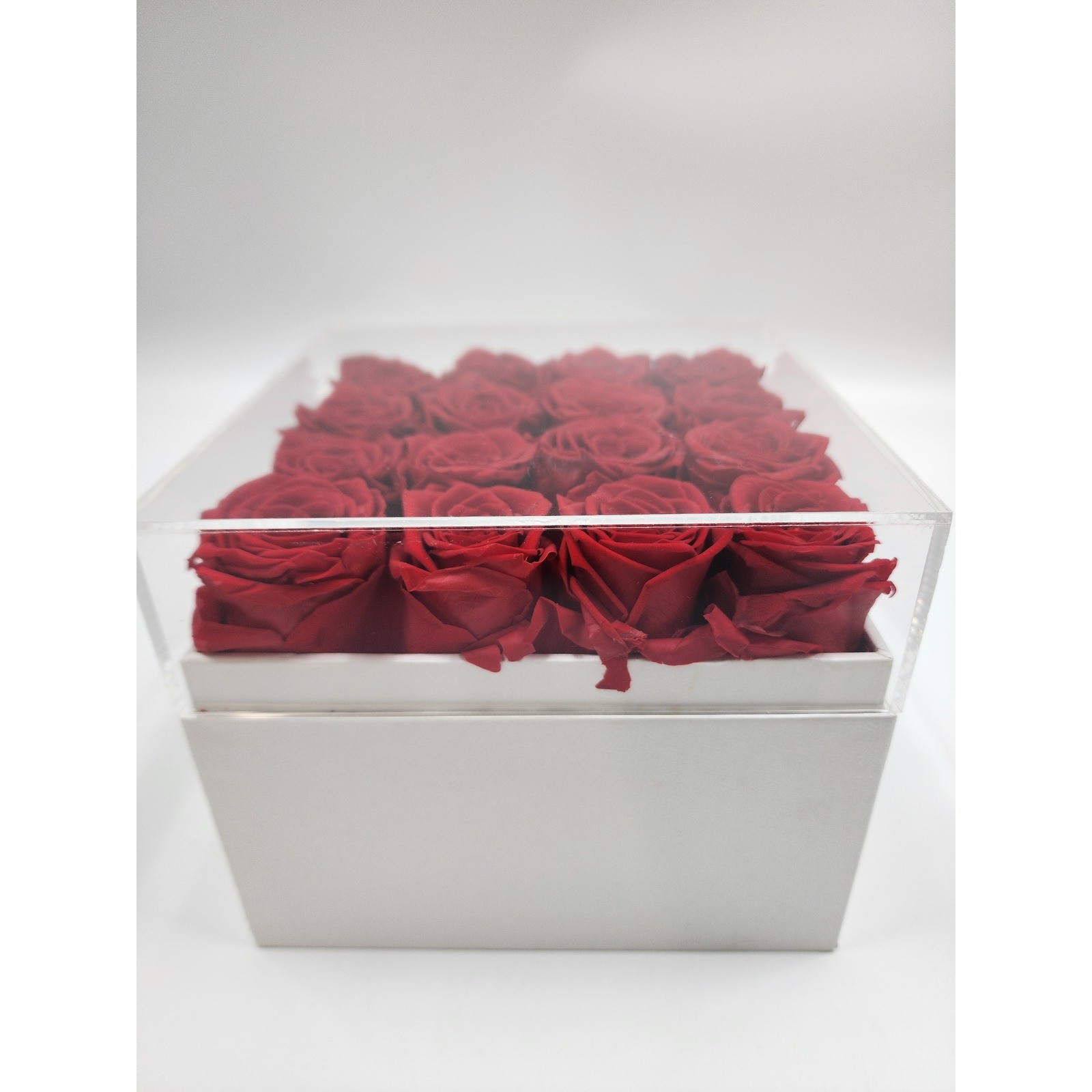 Eterfield Rose Preserved Red Roses in White Square Box with Acrylic Lid 16 Count