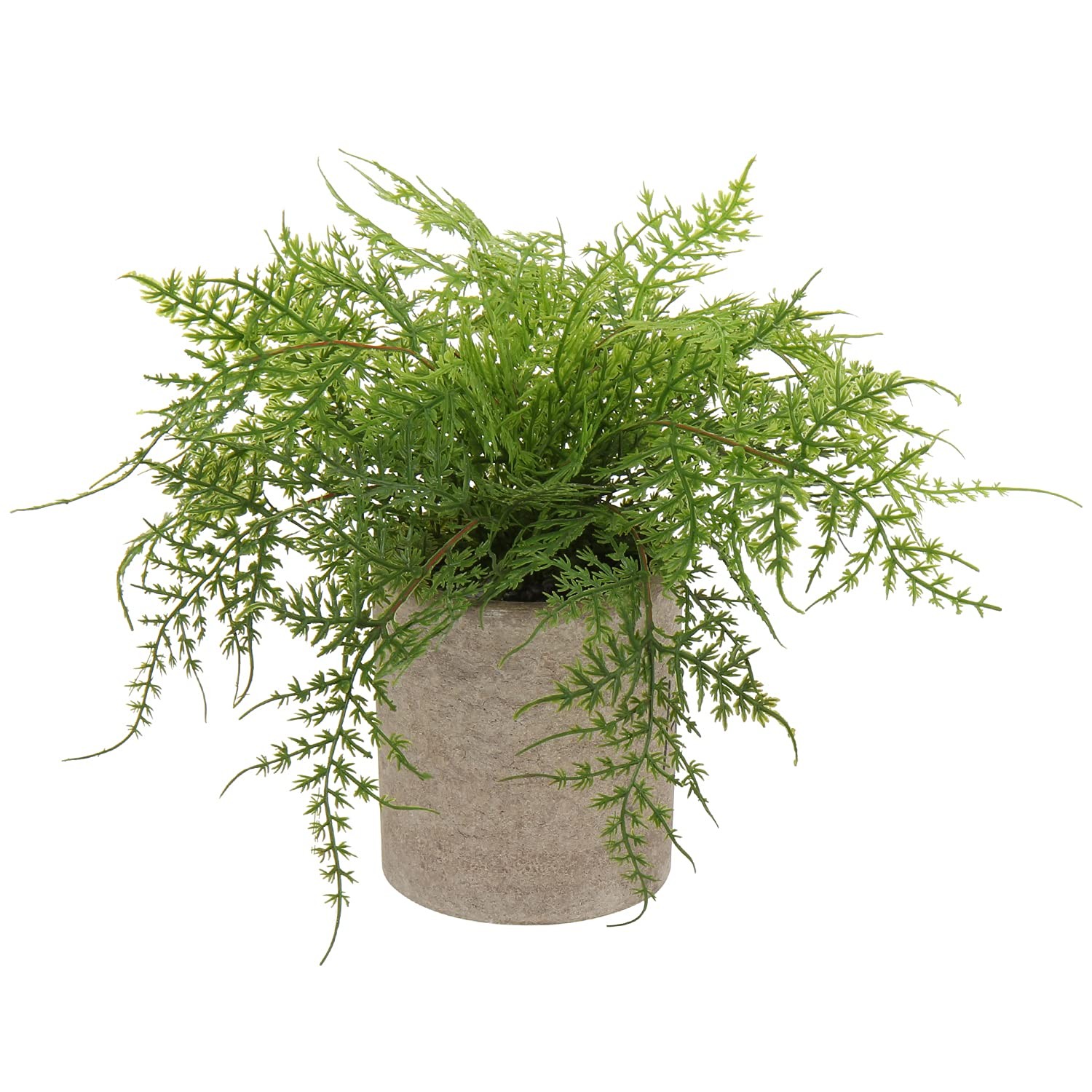 Small Fake Plant Potted Plants Artificial Decor Plastic Asparagus Ferns Plant…