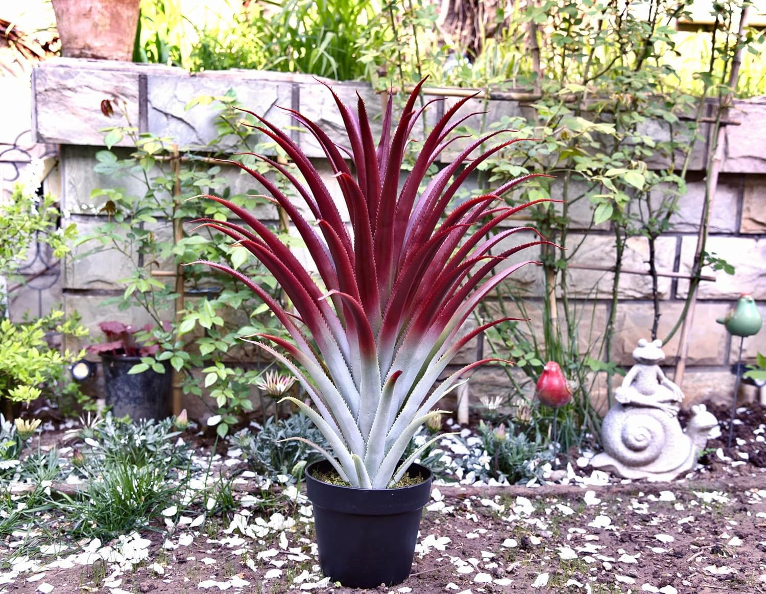 Realistic 26″ Red Artificial Aloe Vera Plant in Matte Black Pot