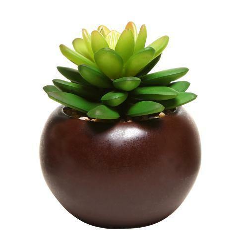Decorative Potted Artificial Mini Succulent Plants in Brown Planter, Set of 3