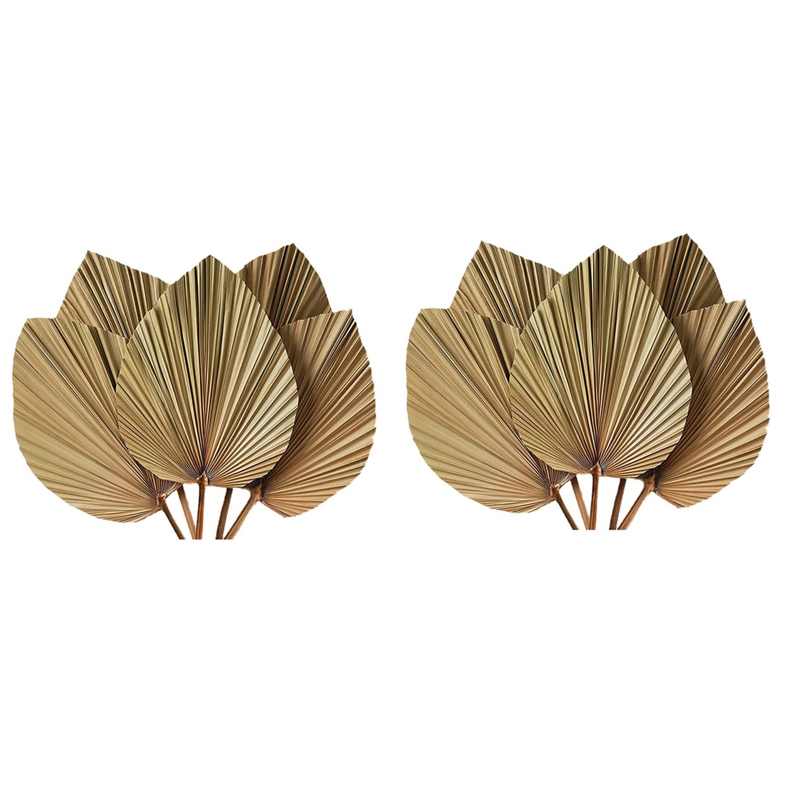 Dried Palm Leaves Room Decor 10 Pieces – 18Inch H X 10Inch W Natural Palm5715