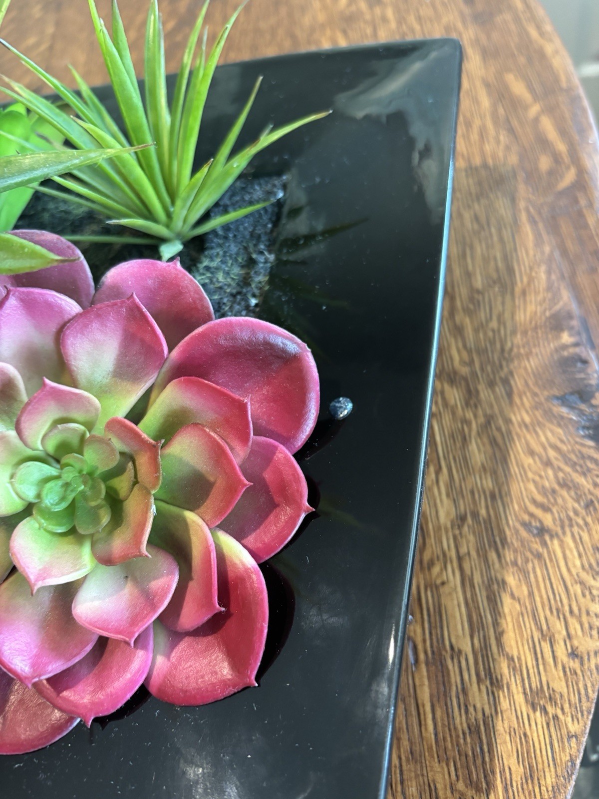 Pier 1 Imports Faux Succulent & Black Glass Organic Arrangement Retired