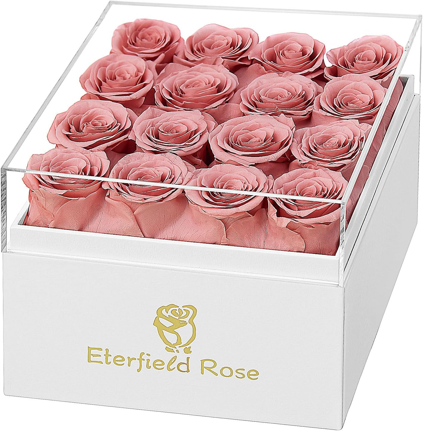 Forever Flowers Preserved Roses Real Roses That Last over a Year Rose Box Gifts