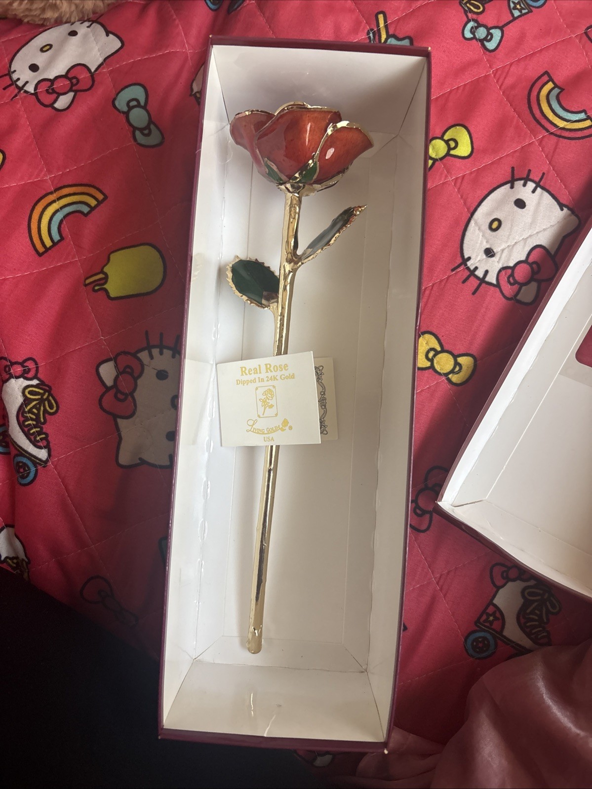 LIVING GOLD REAL ROSE DIPPED IN 24K GOLD RED BOXED Vintage With Certificate