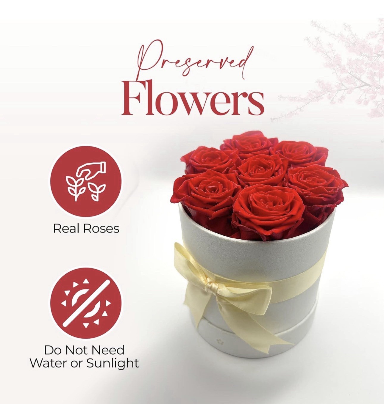 AROMEO Red Roses A Gift That Lasts Preserved Fresh Flowers