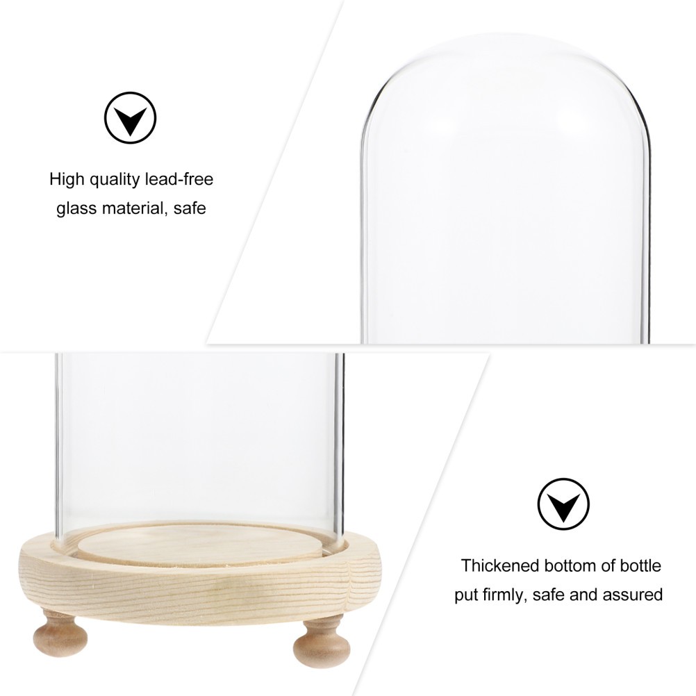 1 Set Creative Preserved Flower Glass Display Cover with Wooden Stand