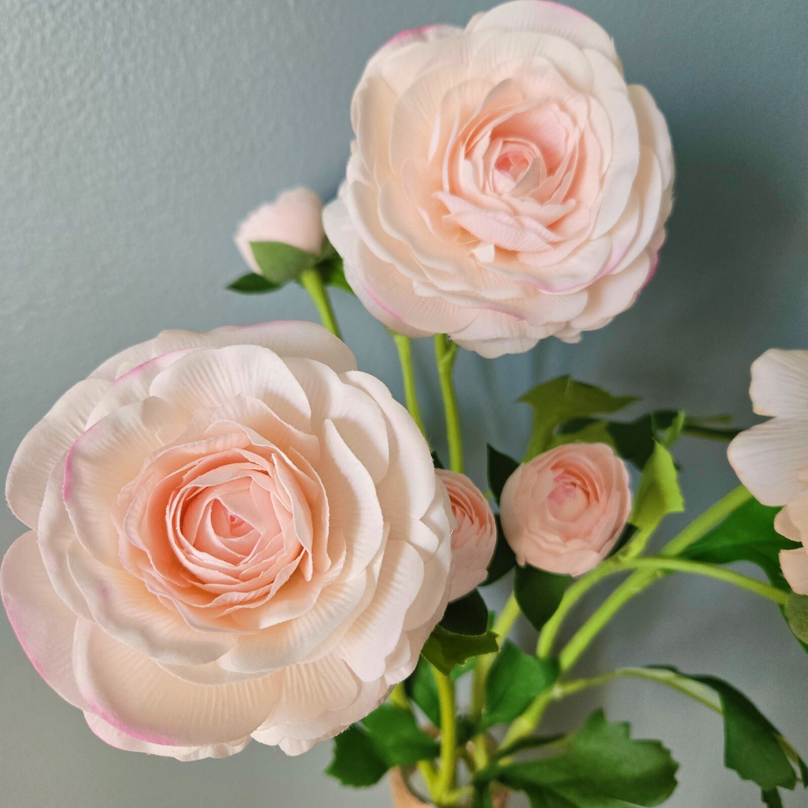 10PCS ranunculus bouquet, each featuring one open bloom and one bud.