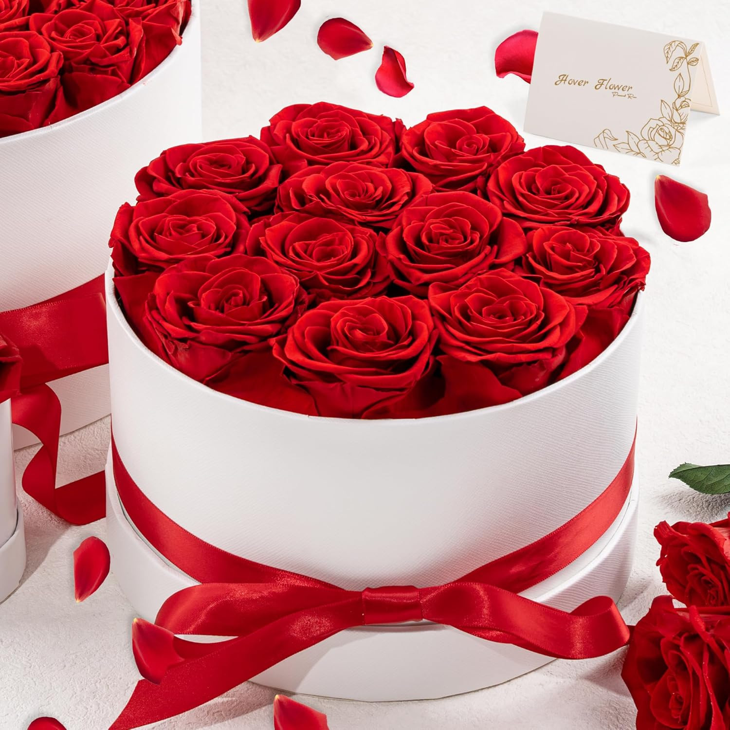 Preserved Roses in a Box, Blooming Real Roses Decor, Eternal Flowers for Deliver